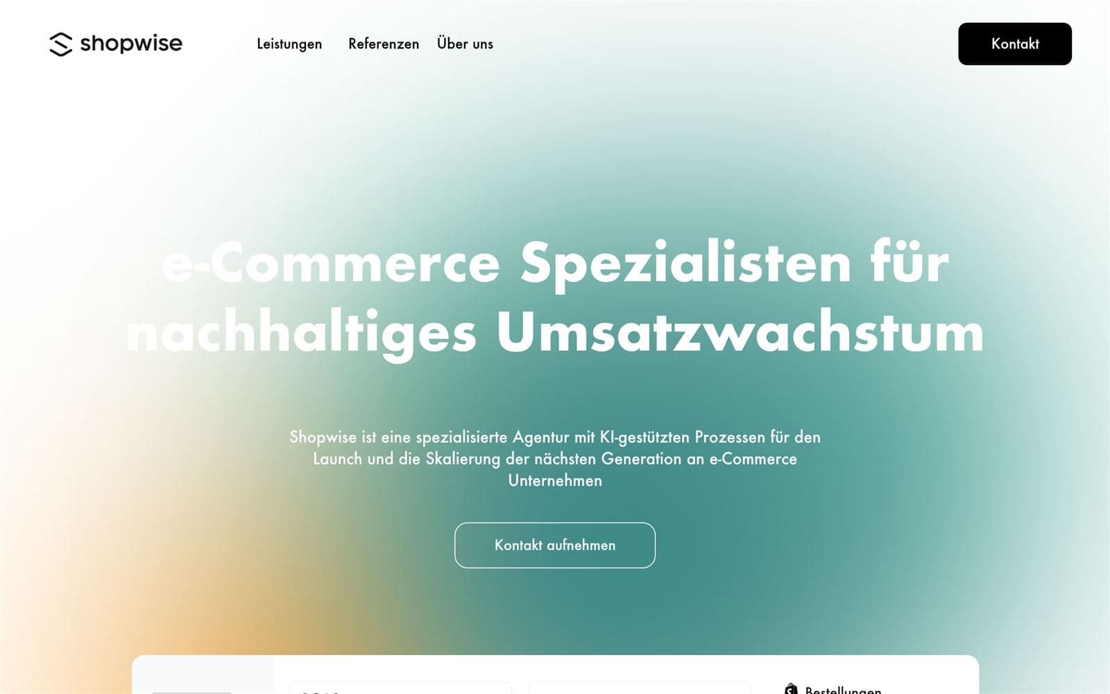 Shopwise web agency website homepage