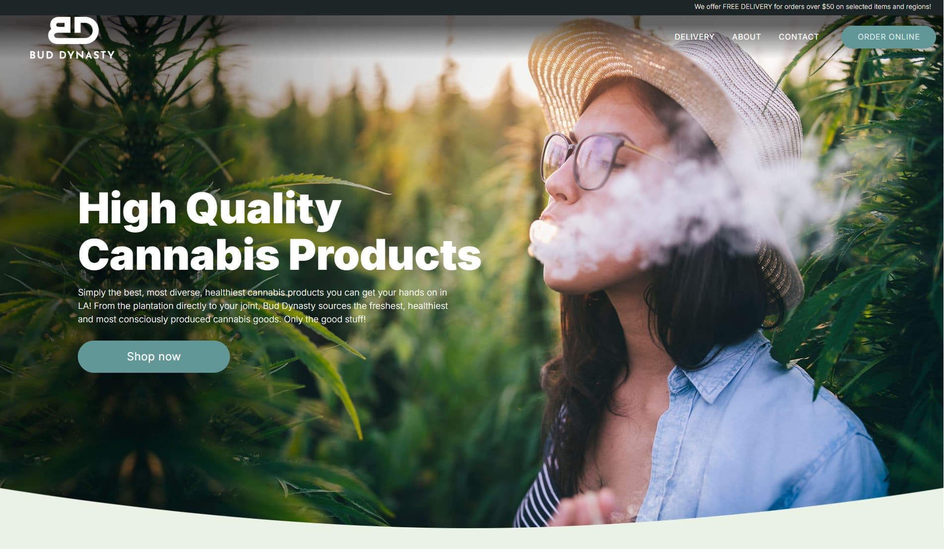 Buddy Nasty consumer products website homepage