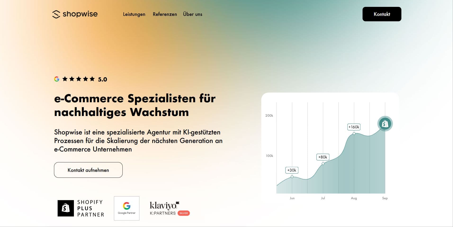 Shopwise web agency website homepage