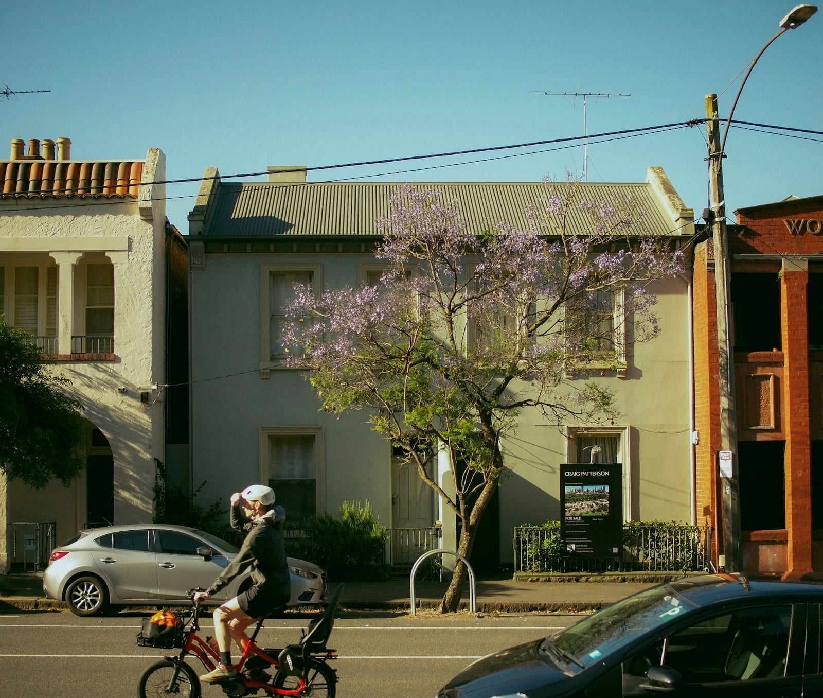 A person cycling past suburban American homes with a flowering tree in bloom