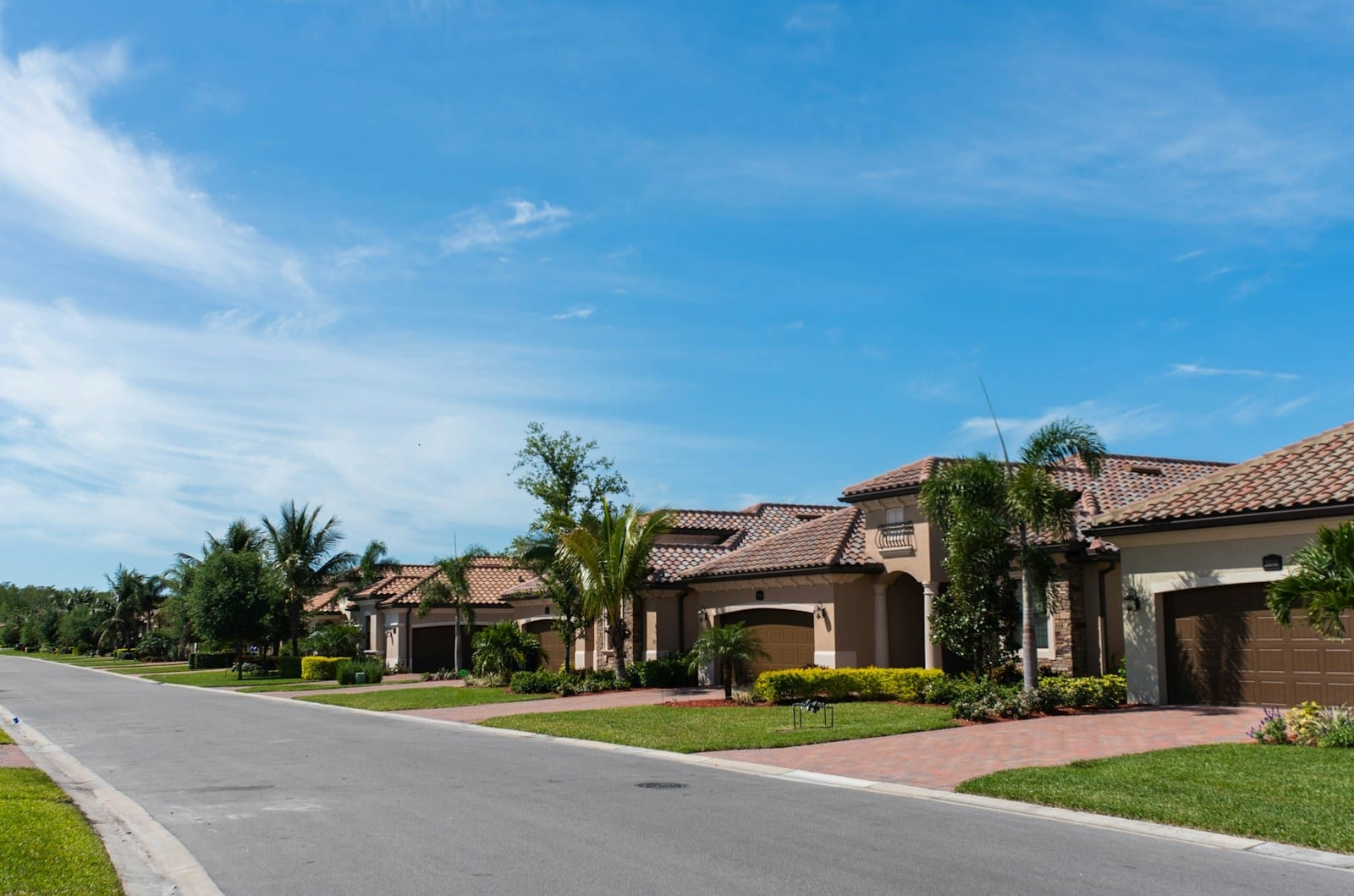 A suburban residential street lined with houses and palm trees